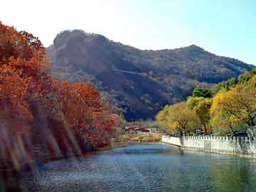 日韩岛国天堂在线观看，开超市